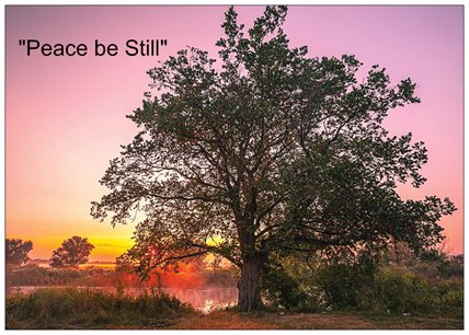 Peace be Still