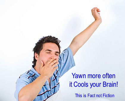 Yawns Good for You