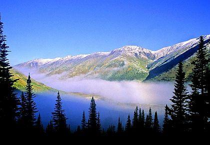 Glorius Mountain Mist