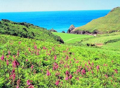 Ocean and Hills 1