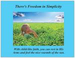 Freedom in Simplicity