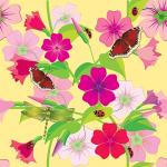 Butterflies - Dragonflies